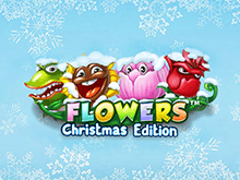 Игровой автомат Цветы: Рождественское Издание